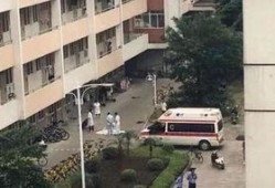 广西师大爆料新闻事件最新,惊曝校园内幕，真相背后引关注