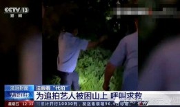 名星最新爆料新闻事件视频,最新事件视频揭秘幕后真相