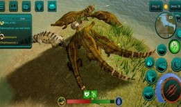 诅咒之岛最新爆料,神秘事件频发，揭秘未知的恐怖真相