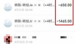 实名爆料视频大全最新版,揭秘热点事件背后的真相