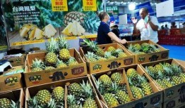 凤梨爆料视频大全最新,揭秘娱乐圈幕后真相