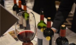 葡萄酒最新爆料,探寻全球葡萄酒新趋势