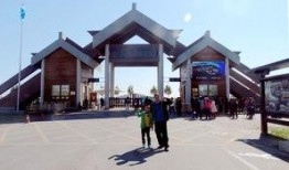 呼兰河口最新爆料,揭秘神秘事件背后的真相