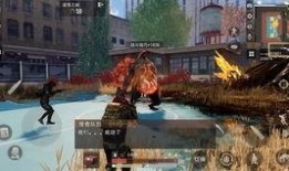 代号真实最新爆料,揭秘最新爆料背后的惊人真相