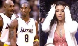 马龙和瓦妮莎最新爆料,揭秘背后的故事与情感纠葛