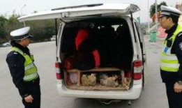 泉州面包车爆料视频最新,揭秘城市生活背后不为人知的真相