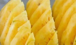 凤梨爆料视频大全最新,揭秘娱乐圈幕后真相