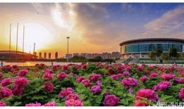 菏泽国花学校爆料案件最新,真相揭开，校园安全再引关注