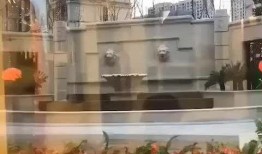 大同维也纳小区最新爆料,揭秘神秘事件背后的真相