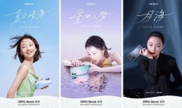 温州爆料最新消息视频大全,热点事件一网打尽